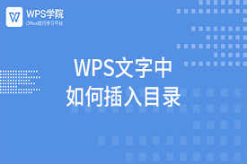WPS-12